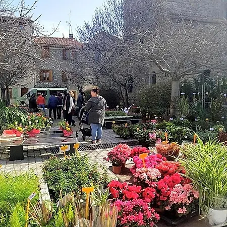 Mountain View Townhouse Quillan