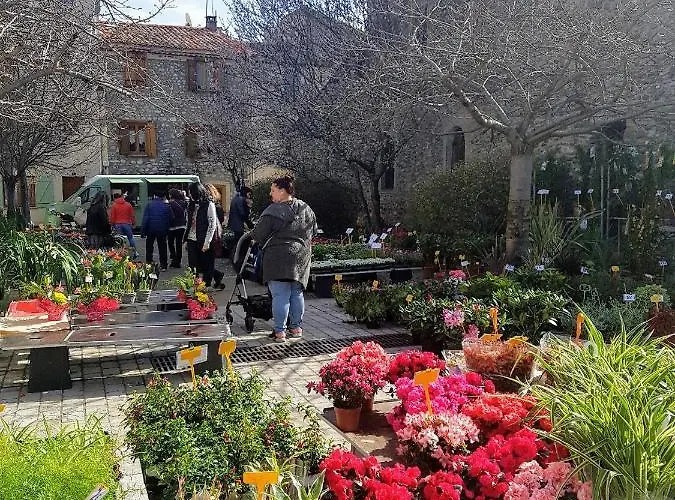 Mountain View Townhouse 3* 퀼랑